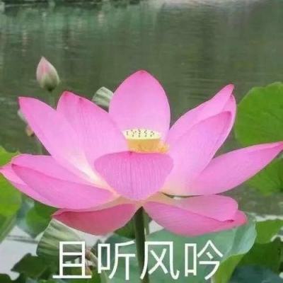 新华网评：“新春战袍”不过时